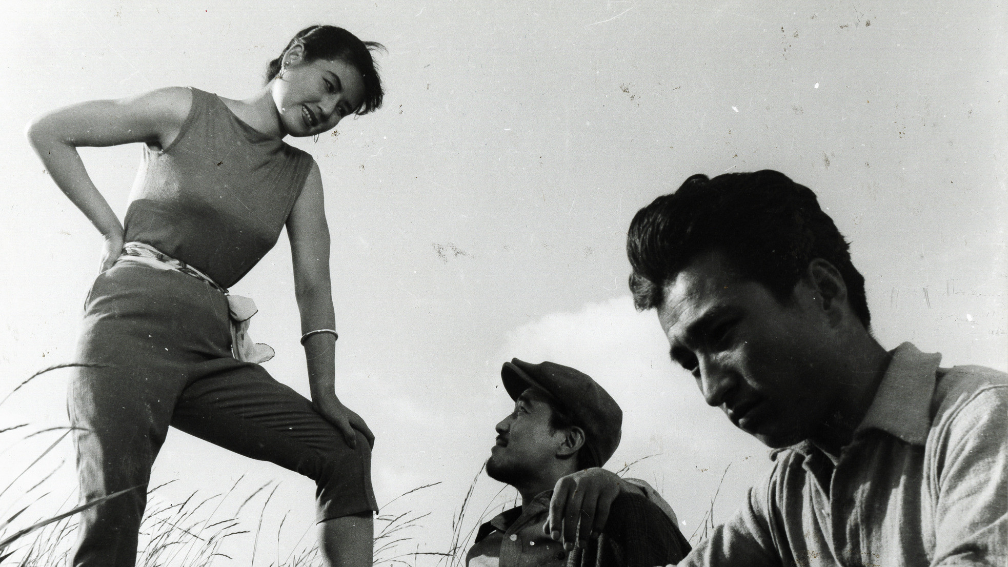 The Flower in Hell Background