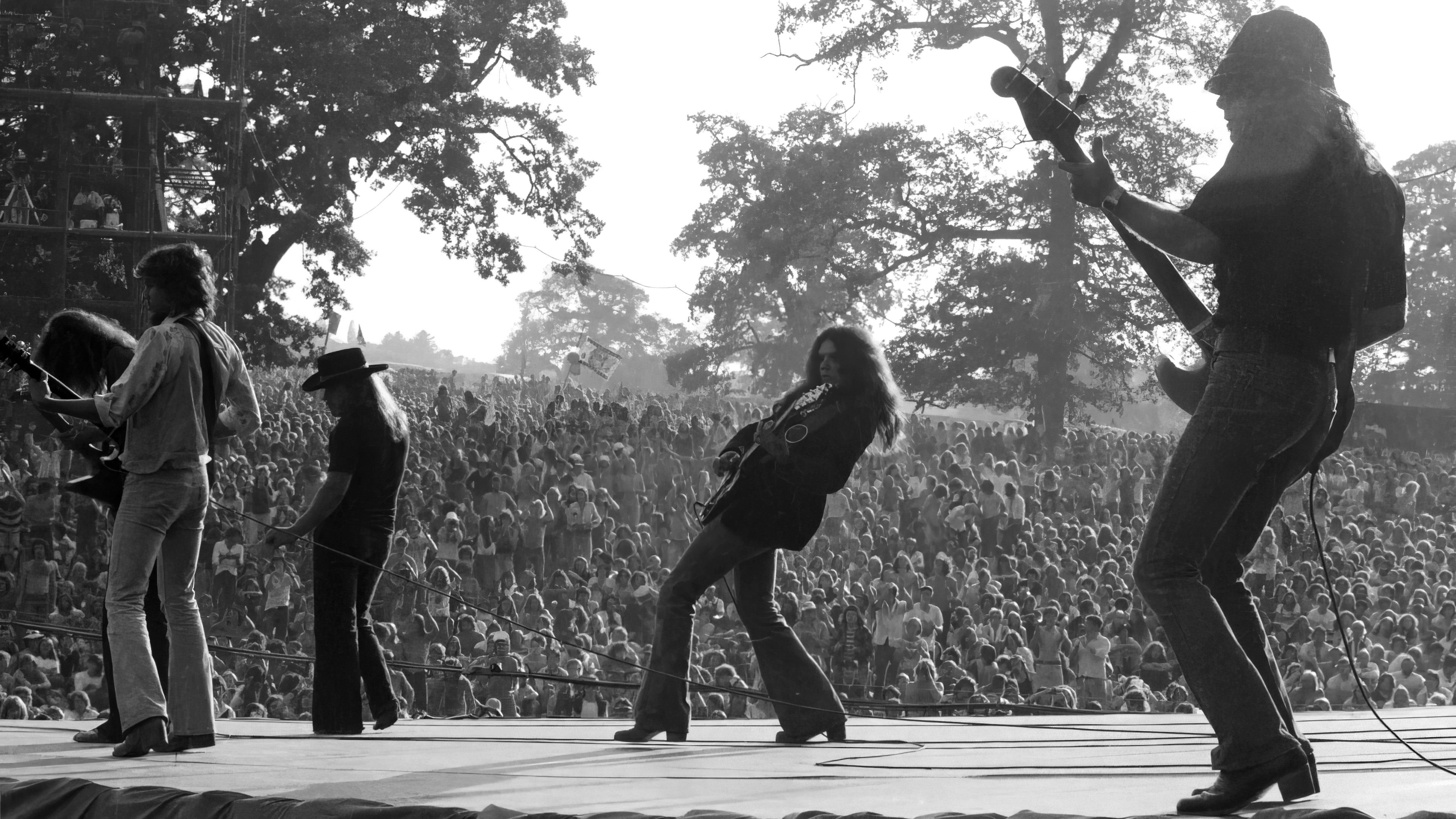 Lynyrd Skynyrd: Live at Knebworth '76 Background