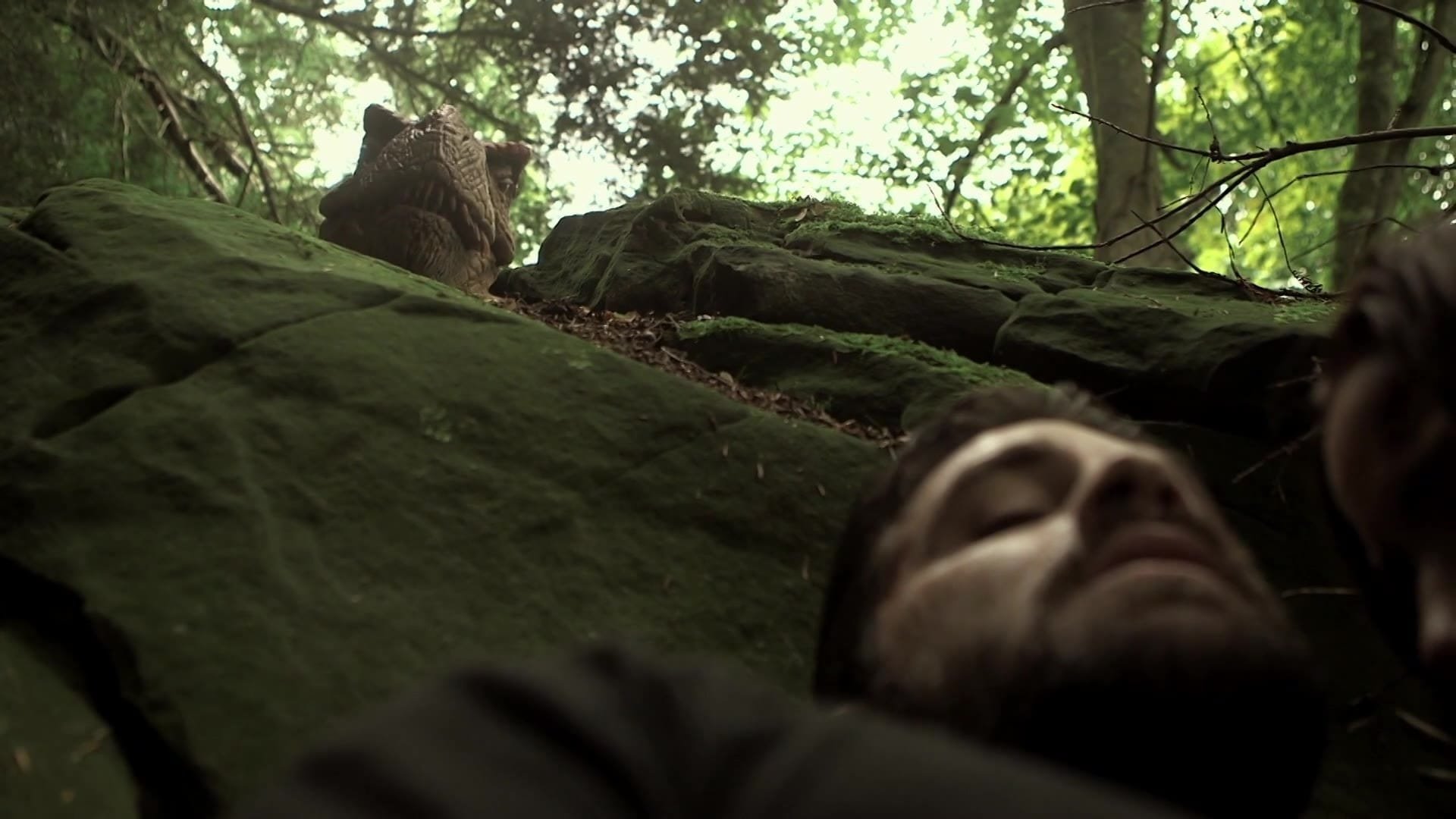 Extinction Background