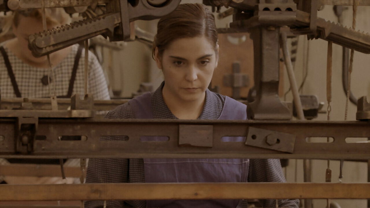 Terra de telers Background