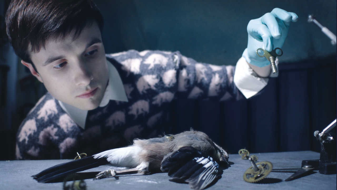 Stanley Pickle Background