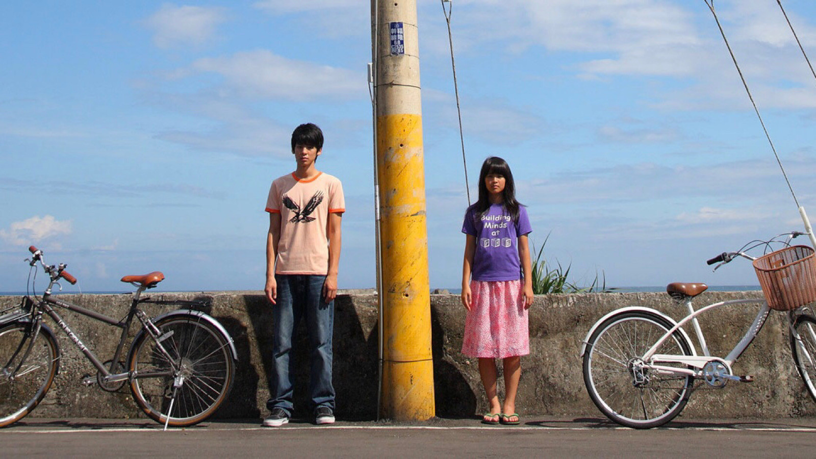 Somewhere I Have Never Travelled Background