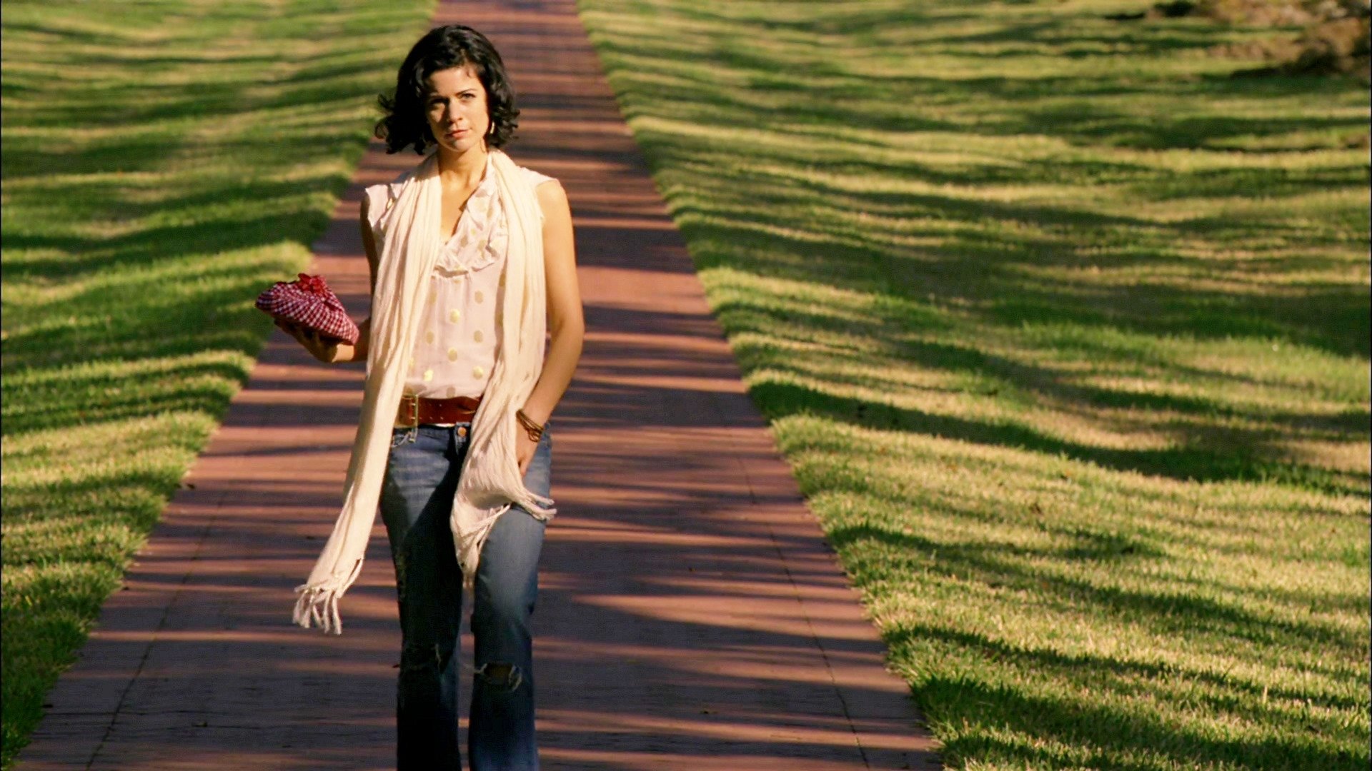 Nora Roberts' Midnight Bayou Background