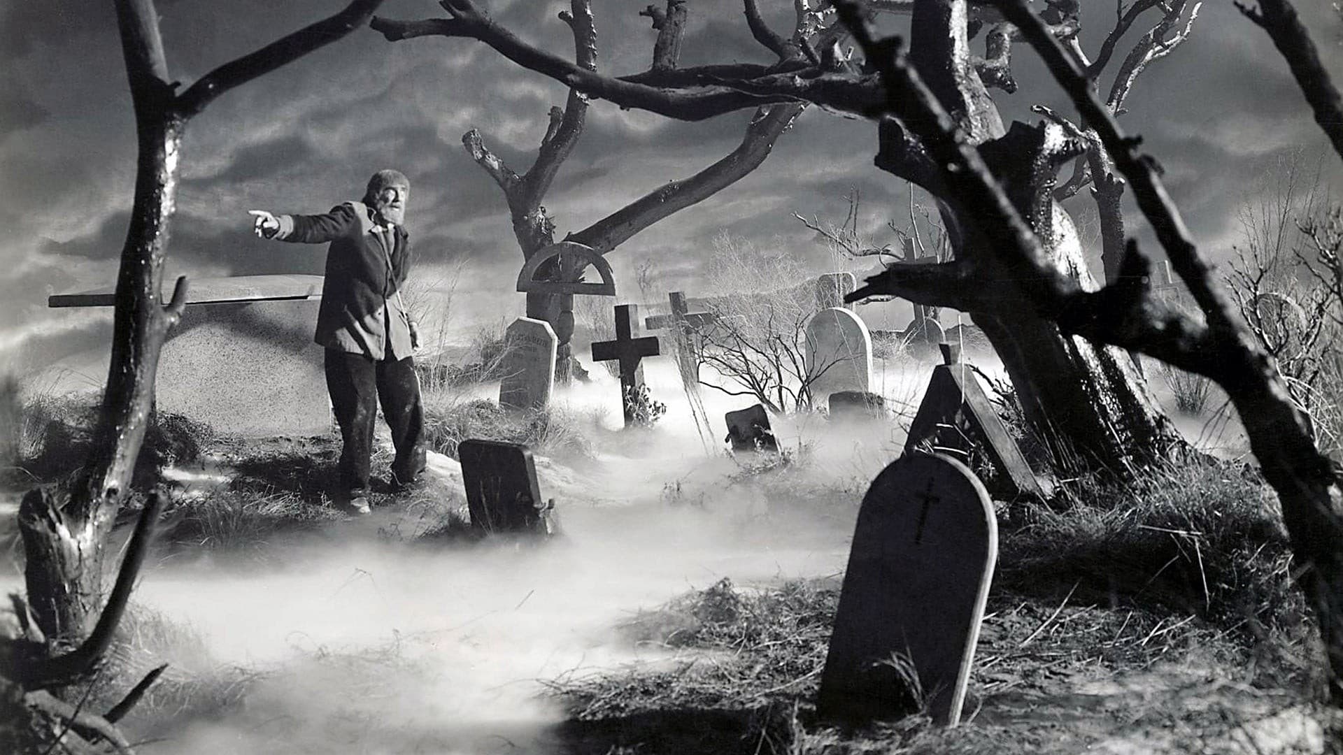 Son of Frankenstein Background