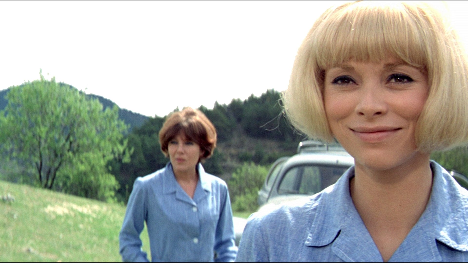 Sorrel Flower Background