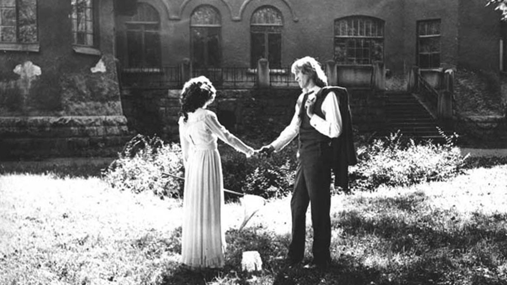 Mister Designer Background