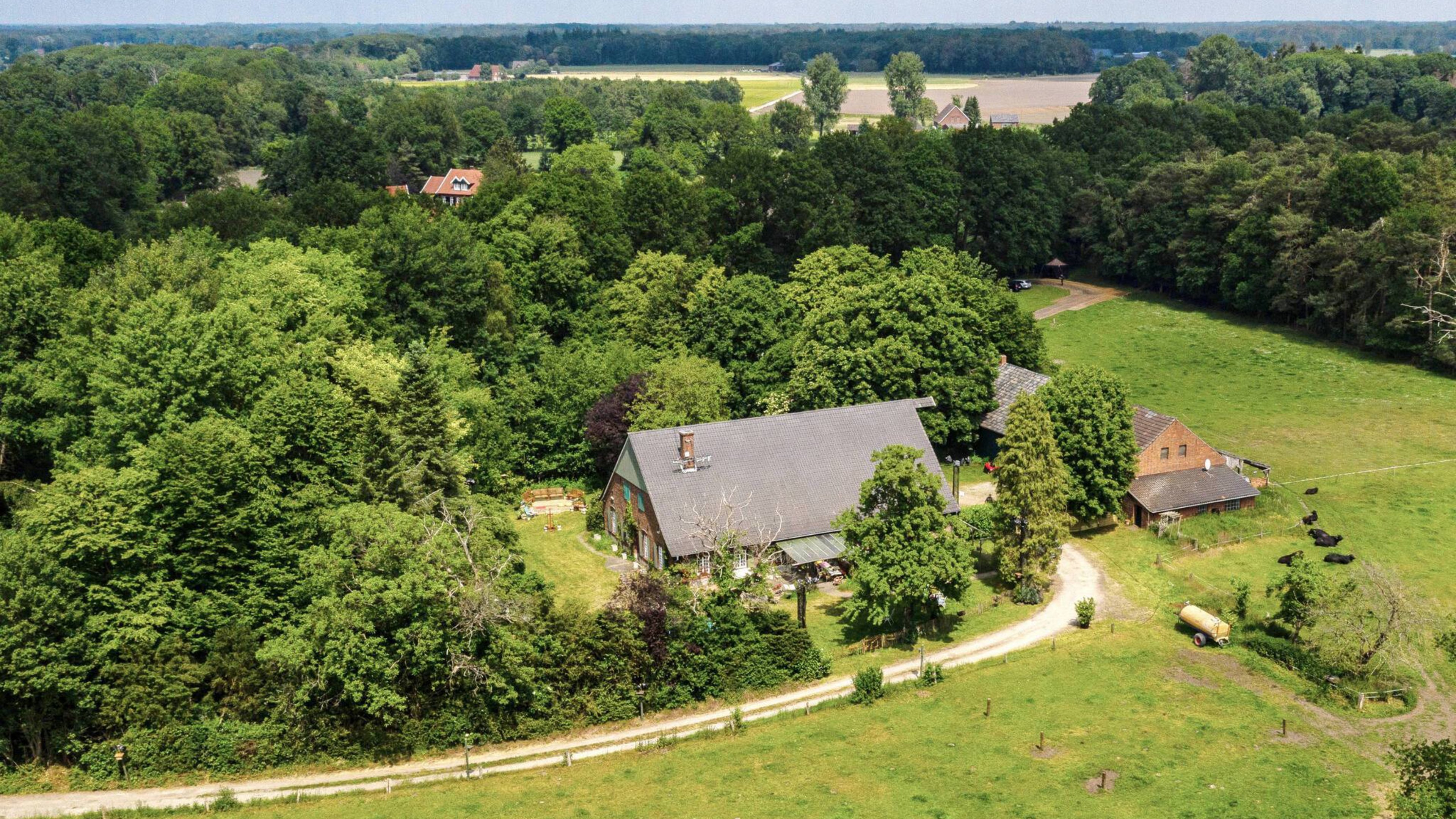 Das Sommerhaus der Stars - Kampf der Promipaare Background