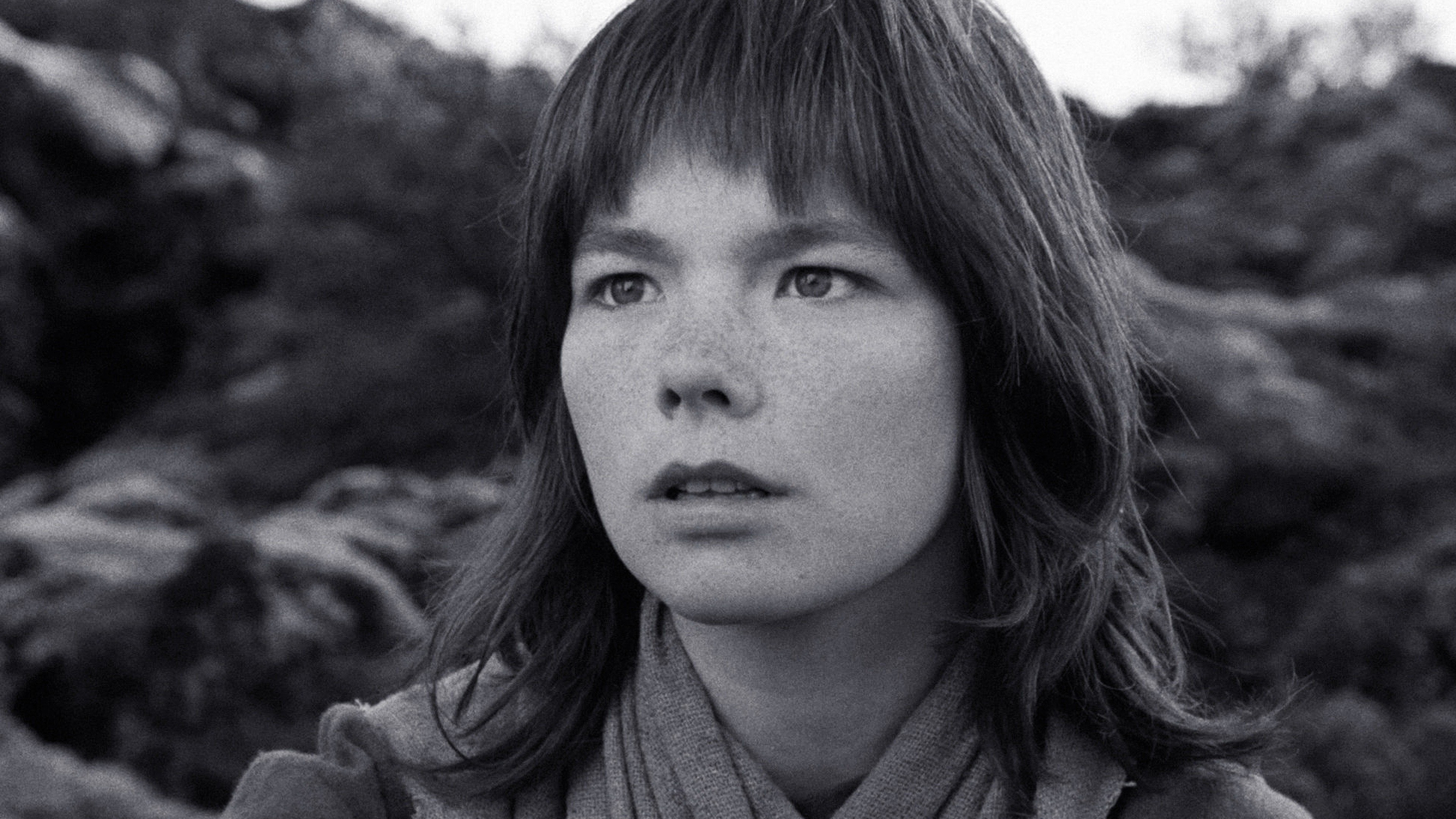 The Juniper Tree Background