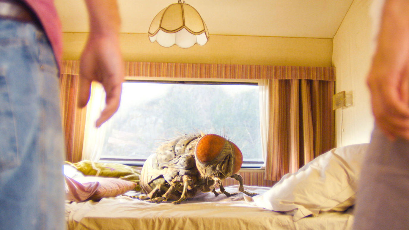 Mandibles Background