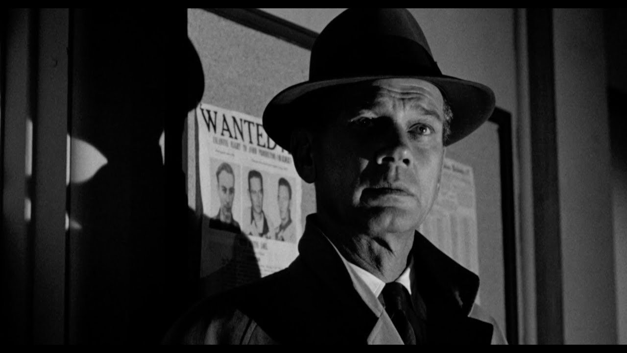 The Killer Is Loose Background