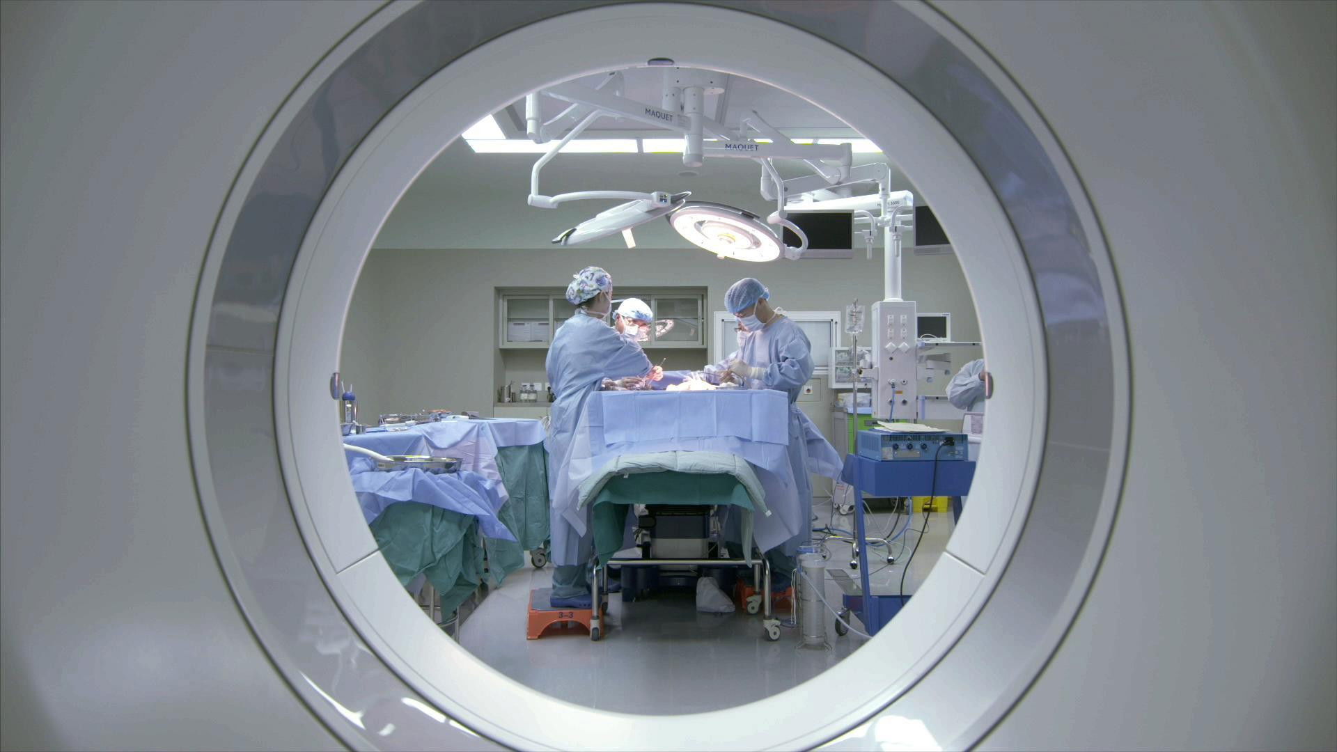 Two Hundred Years of Surgery Background