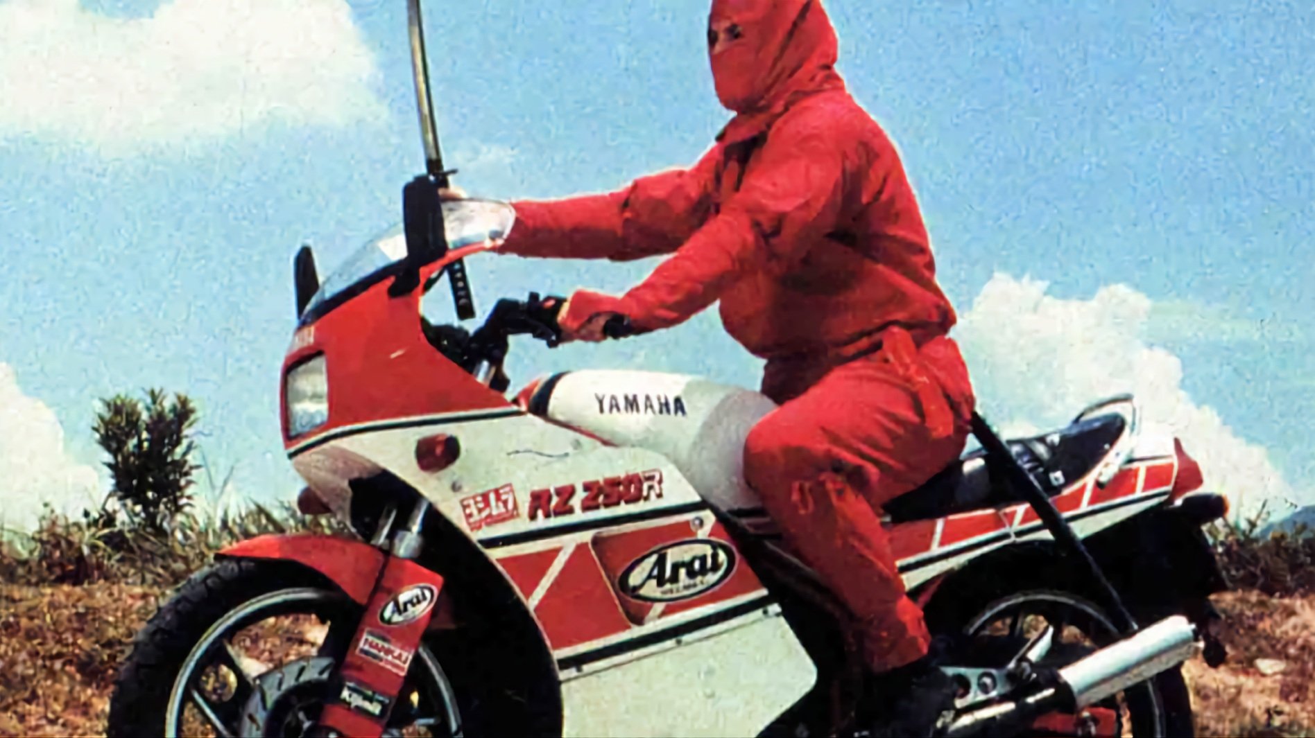 Ninja the Protector Background