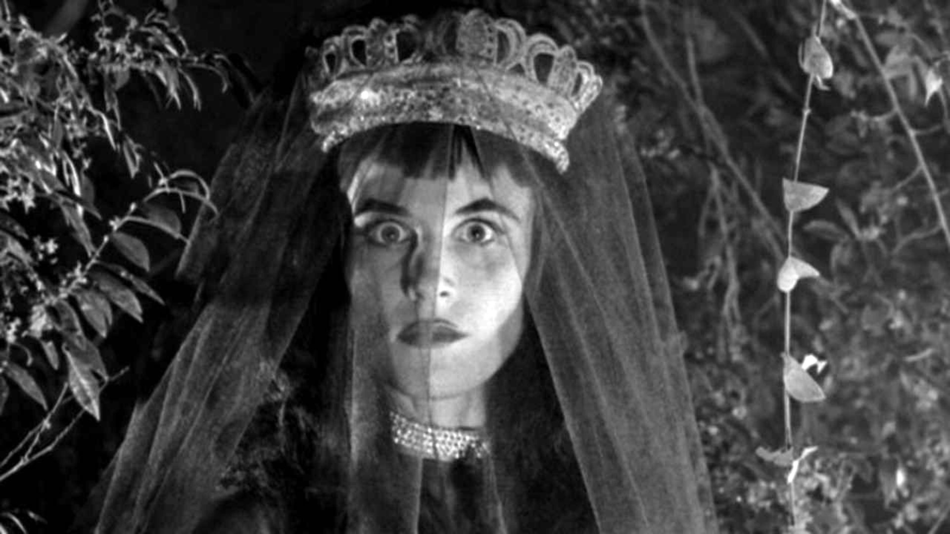 Revenge of the Dead Background