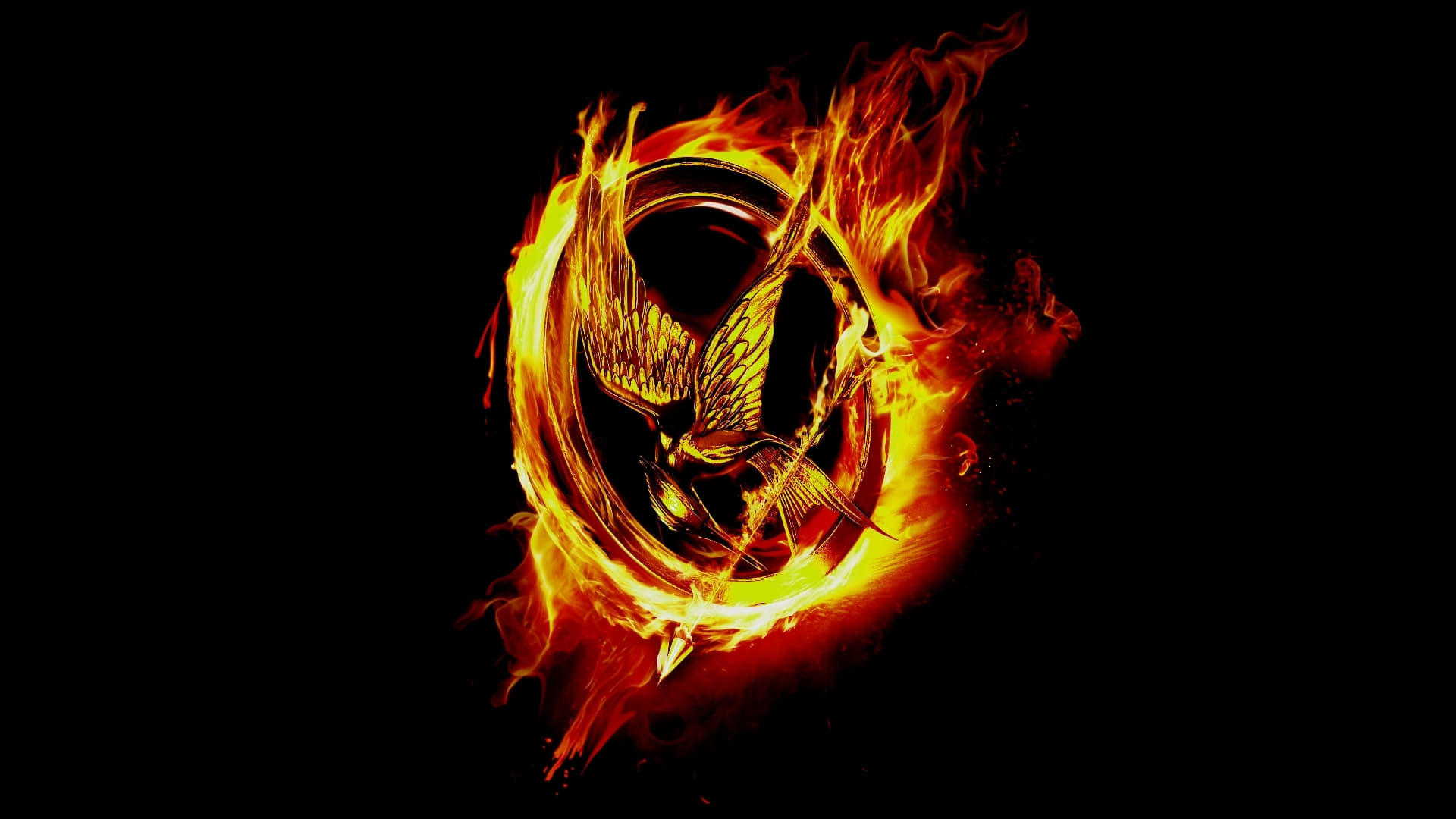 Surviving the Game: Making The Hunger Games: Catching Fire Background
