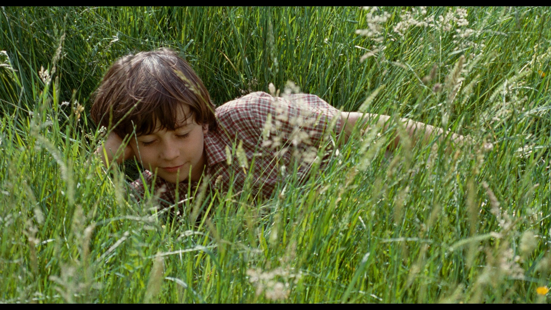 The Field of Enchantment Background