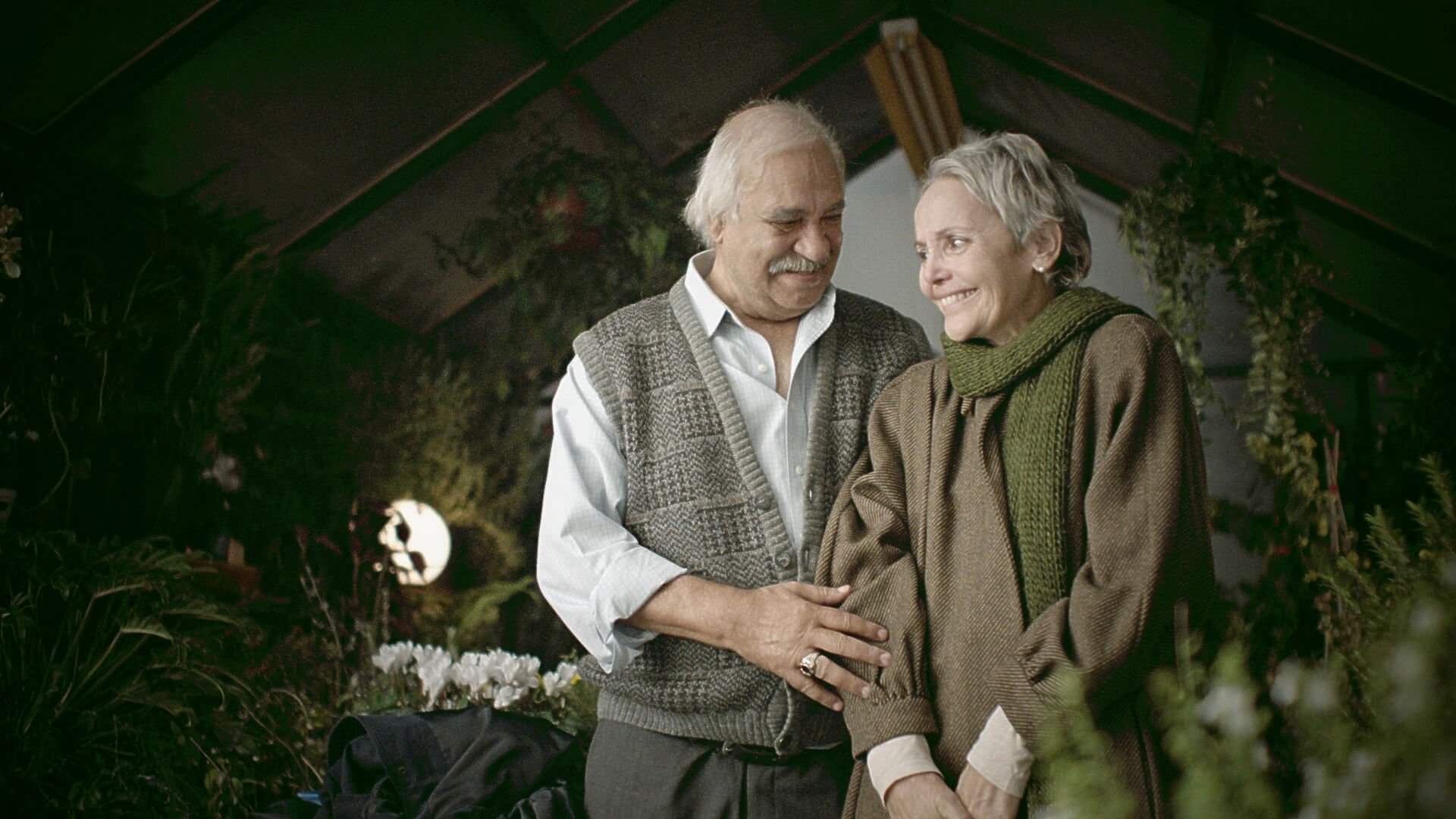 The Farewell Party Background