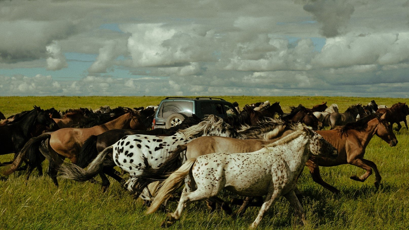 Striding Into the Wind Background