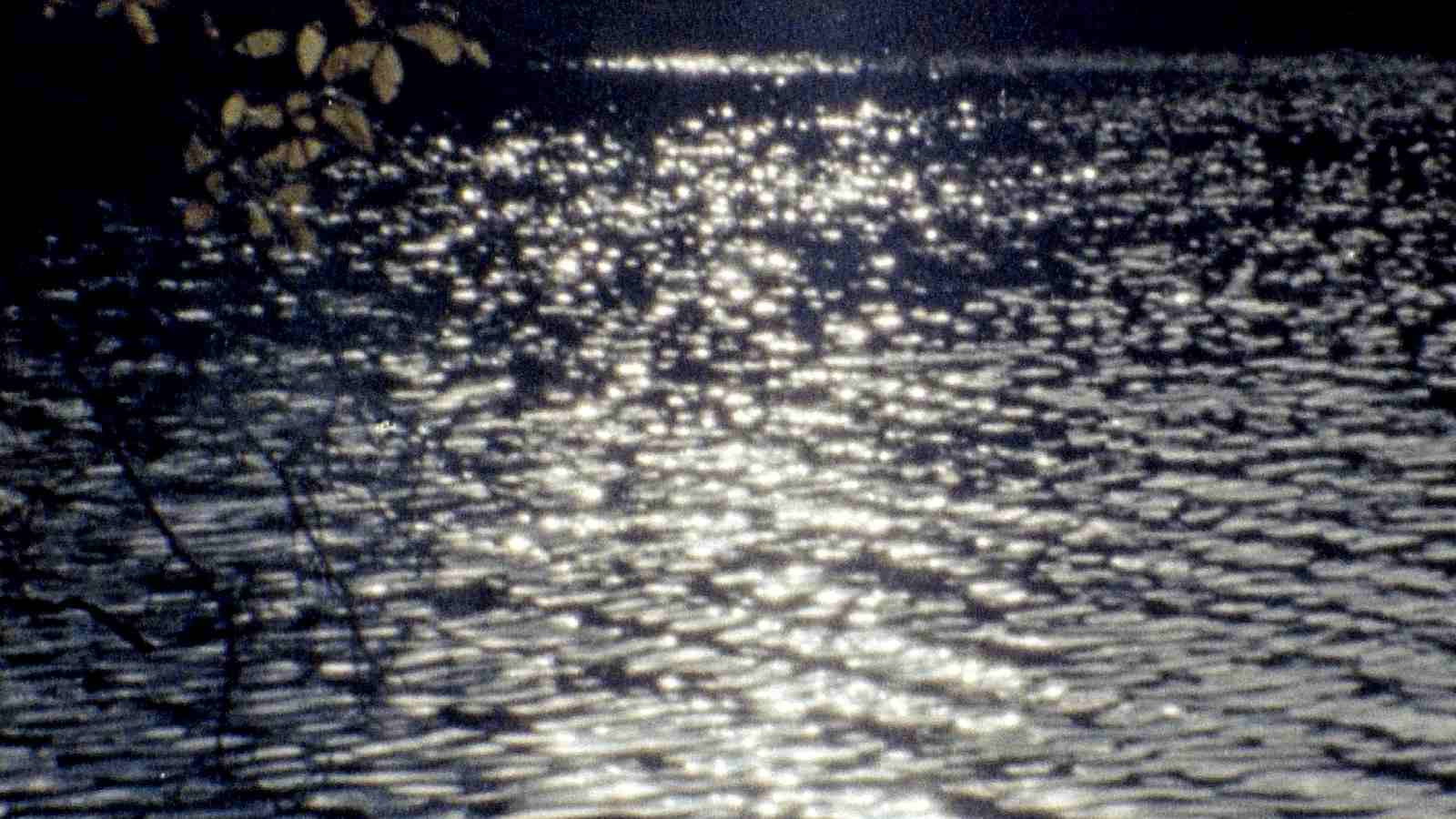 El jardín del lago Background