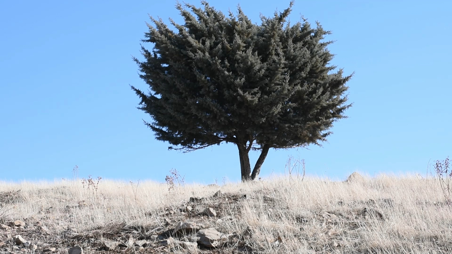 Where is the Final Destination? Background