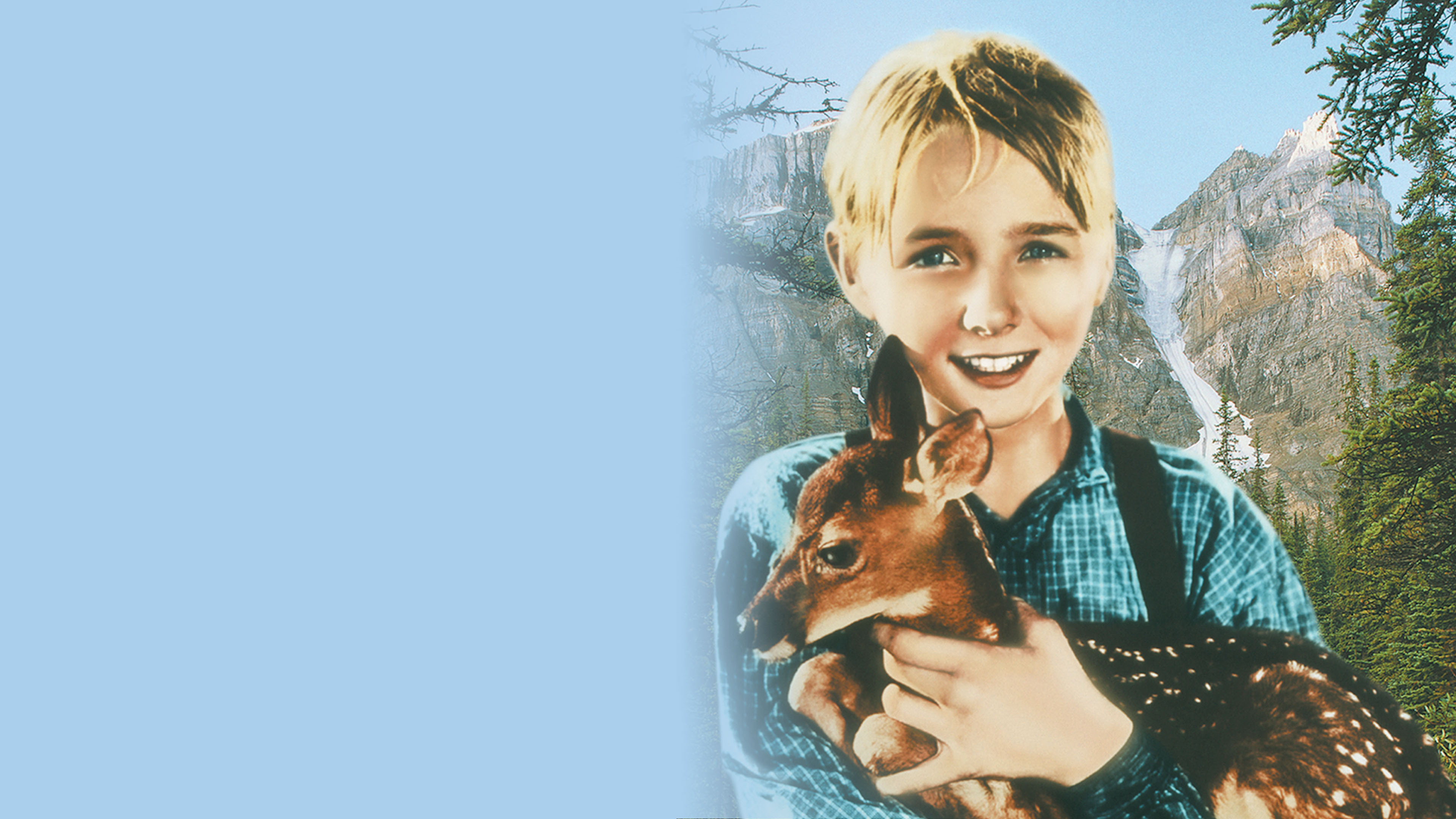 The Yearling Background