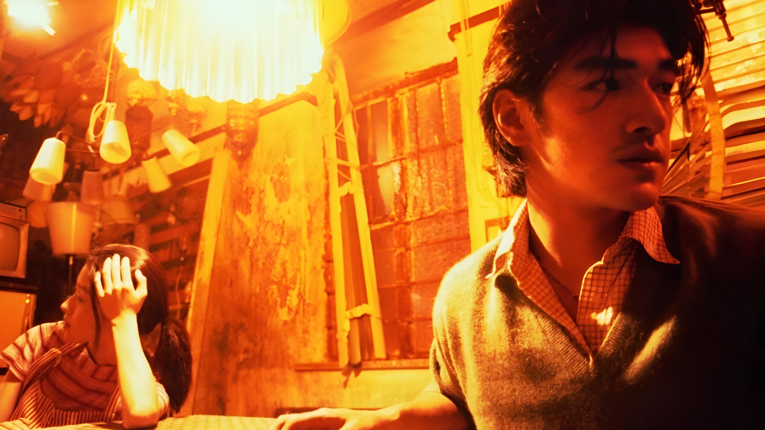 First Love: The Litter on the Breeze Background