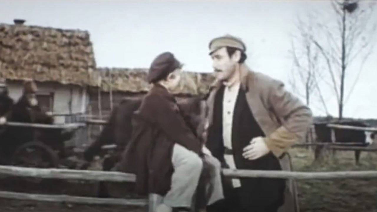 The Geese-Swans Fly Background