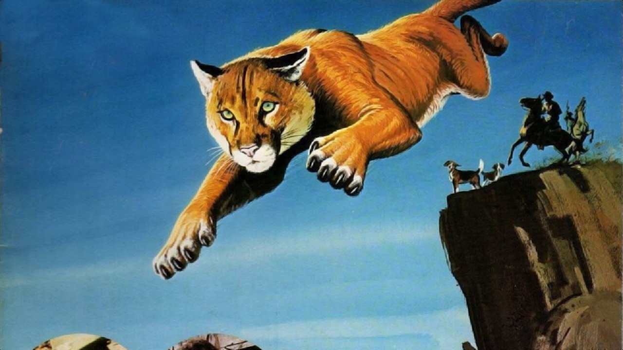 Run, Cougar, Run Background