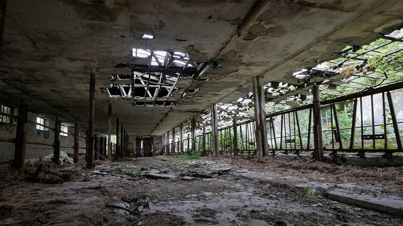 The End of Meat Background