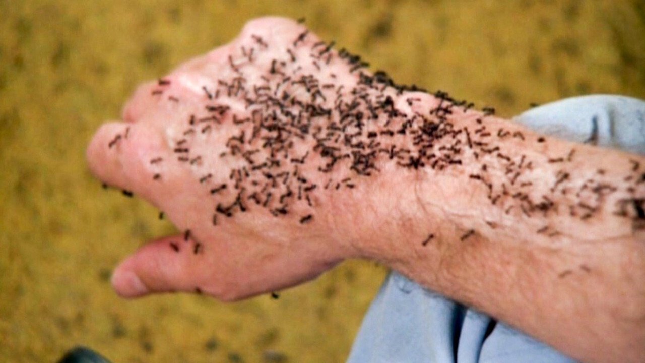 It Happened at Lakewood Manor Background