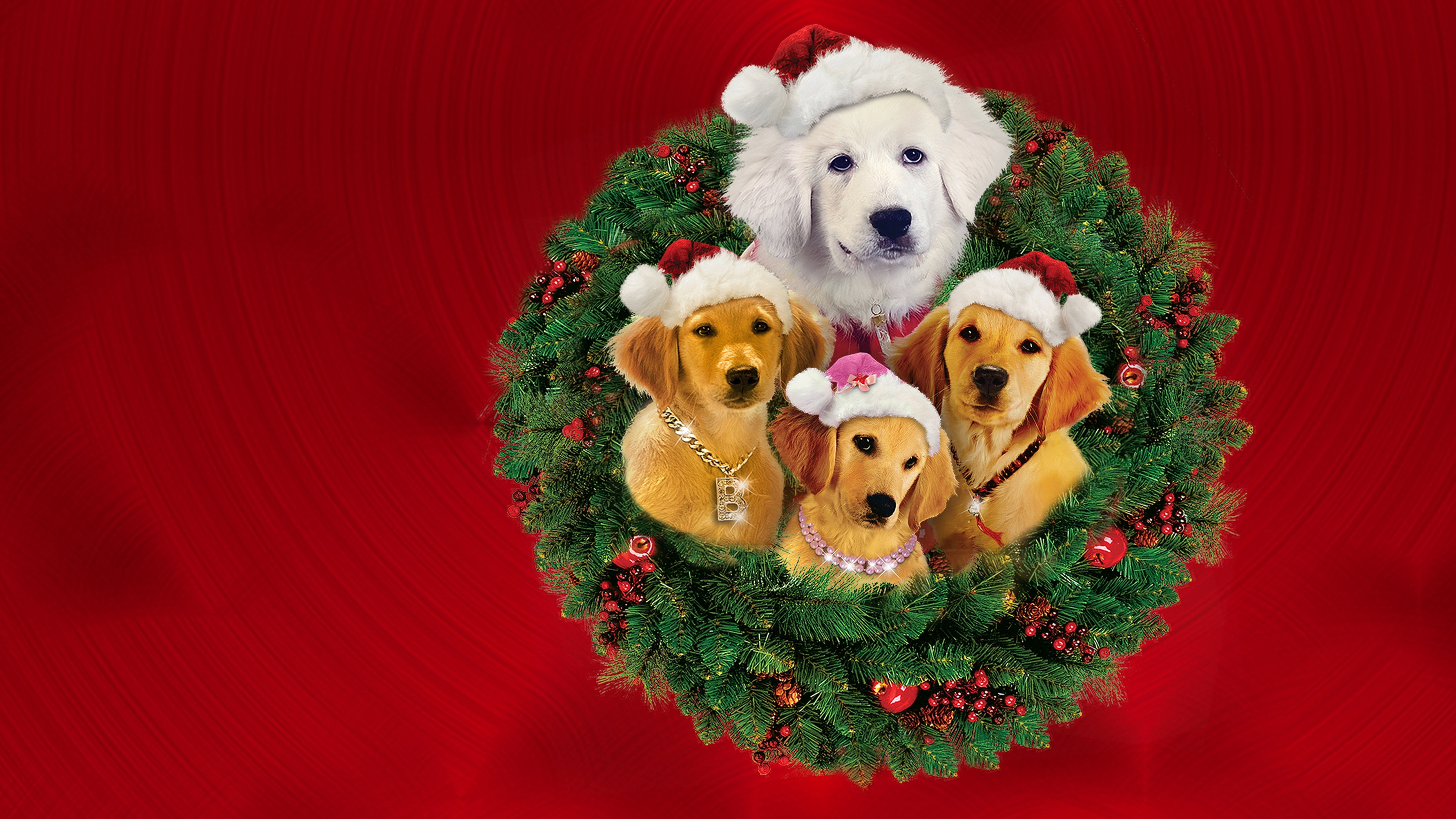 Santa Buddies Background