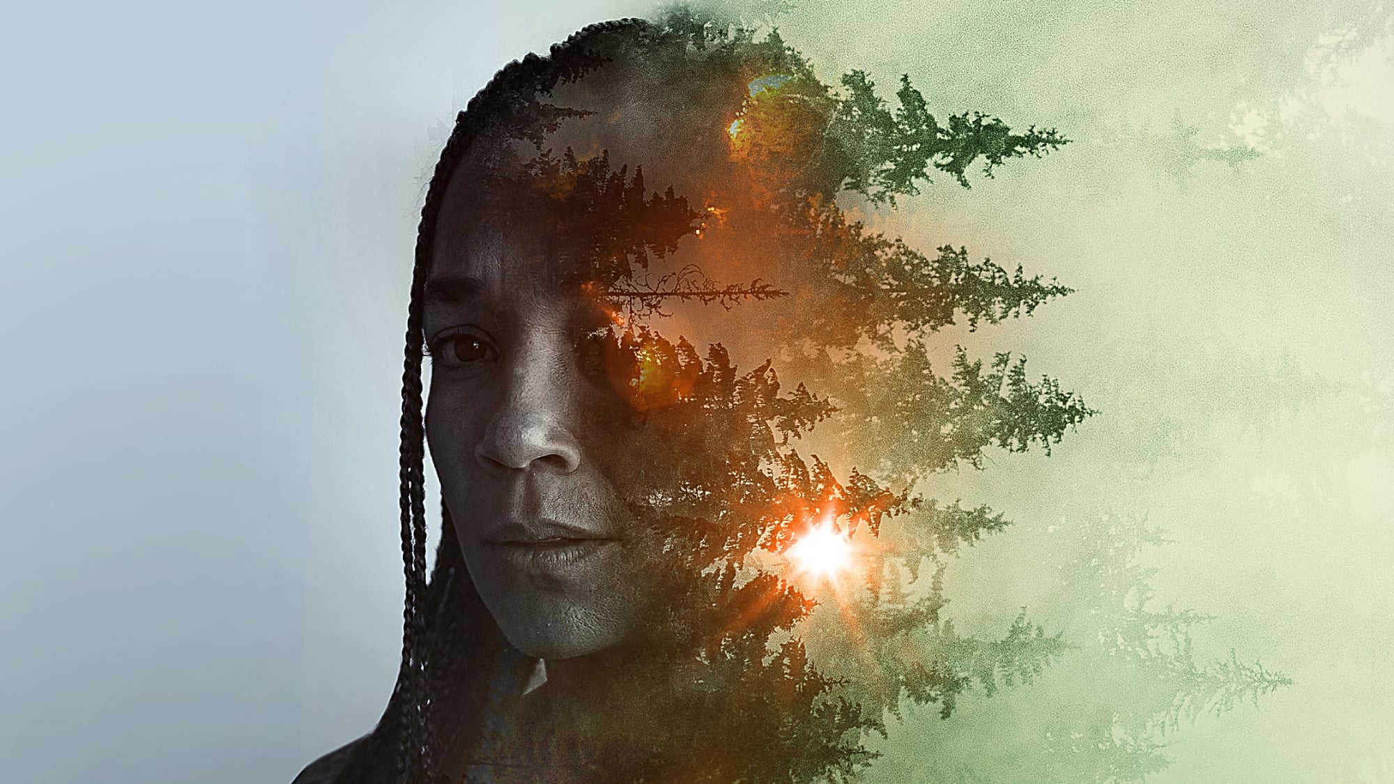 Sheltering Season Background