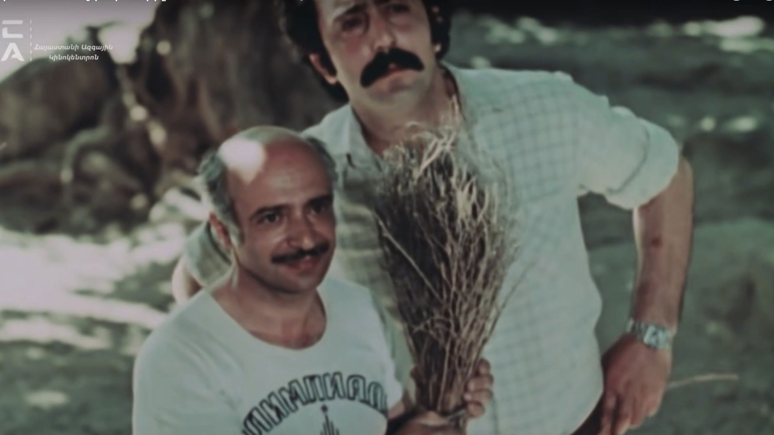 The Mulberry Tree Background