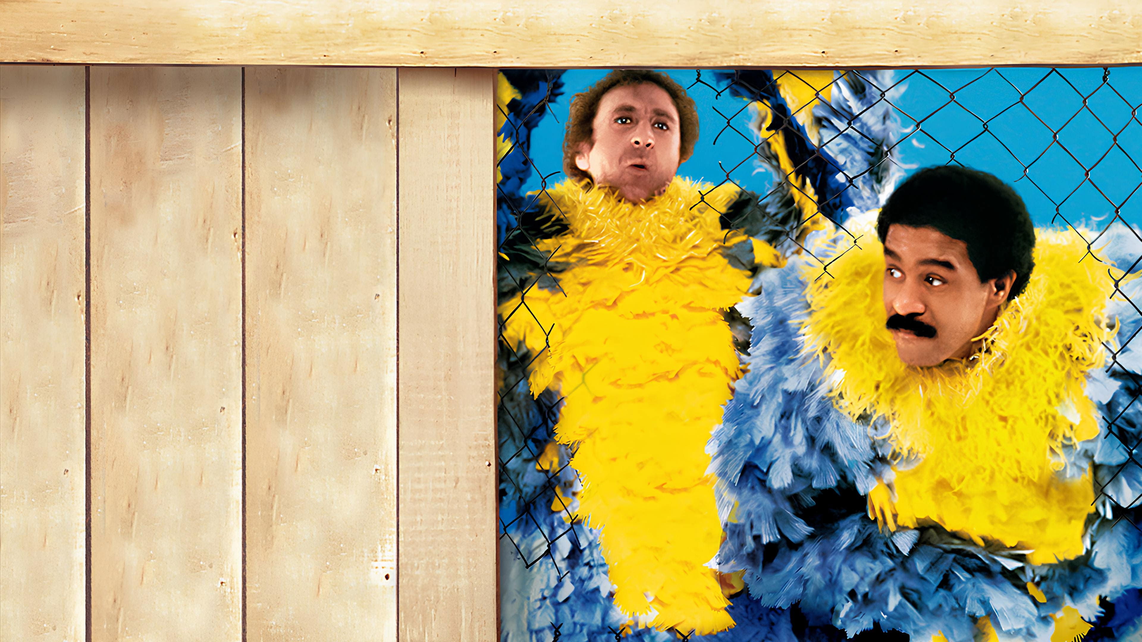 Stir Crazy Background