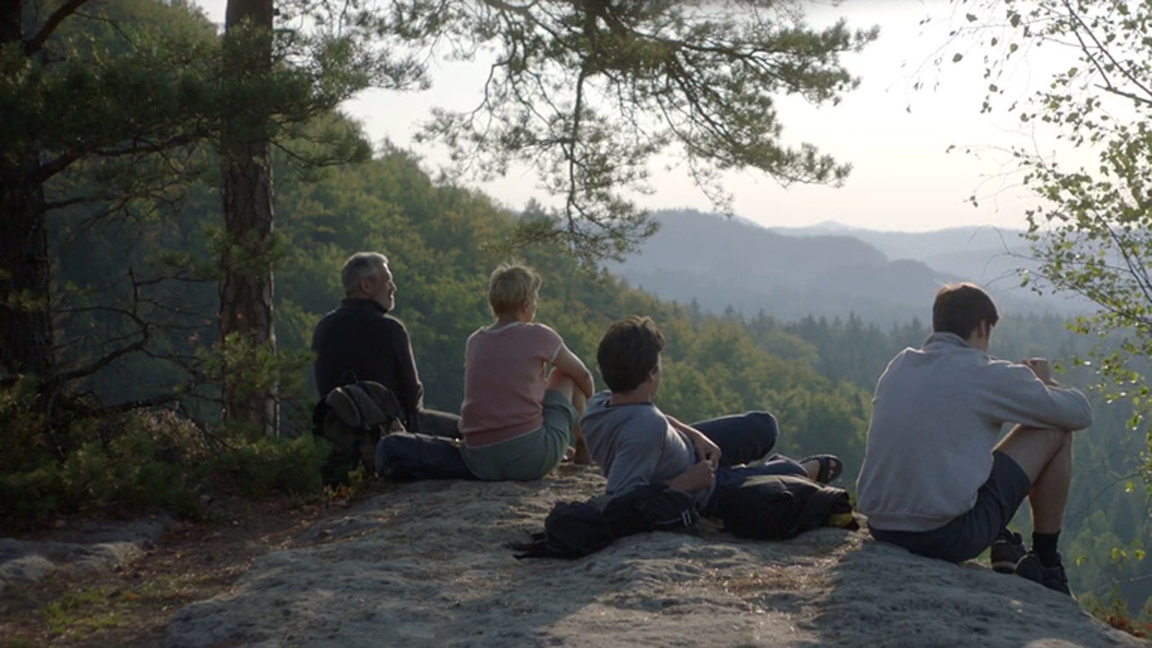 A Fish Swimming Upside Down Background