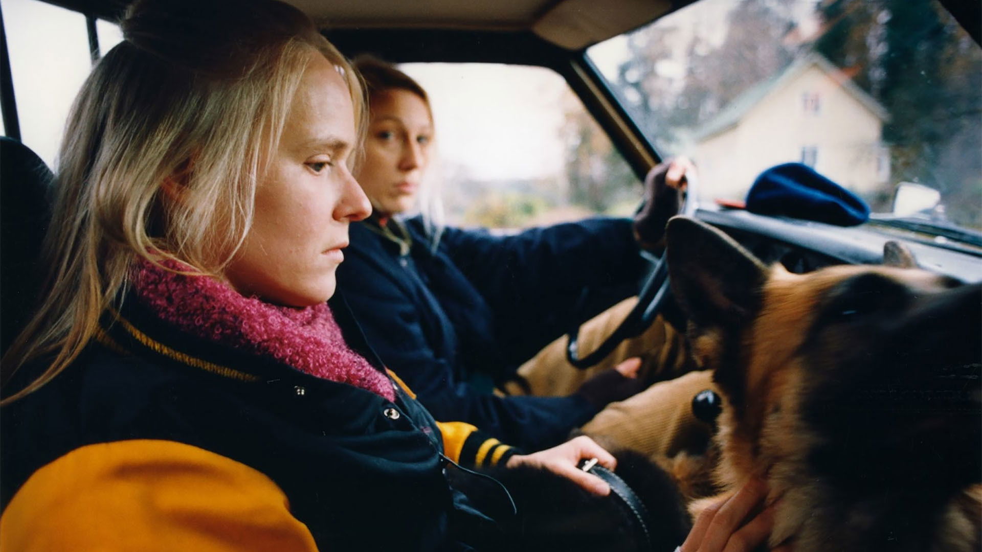 The Collector Background