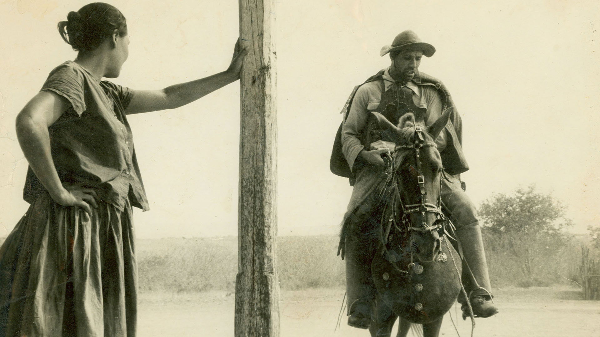 Barren Lives Background