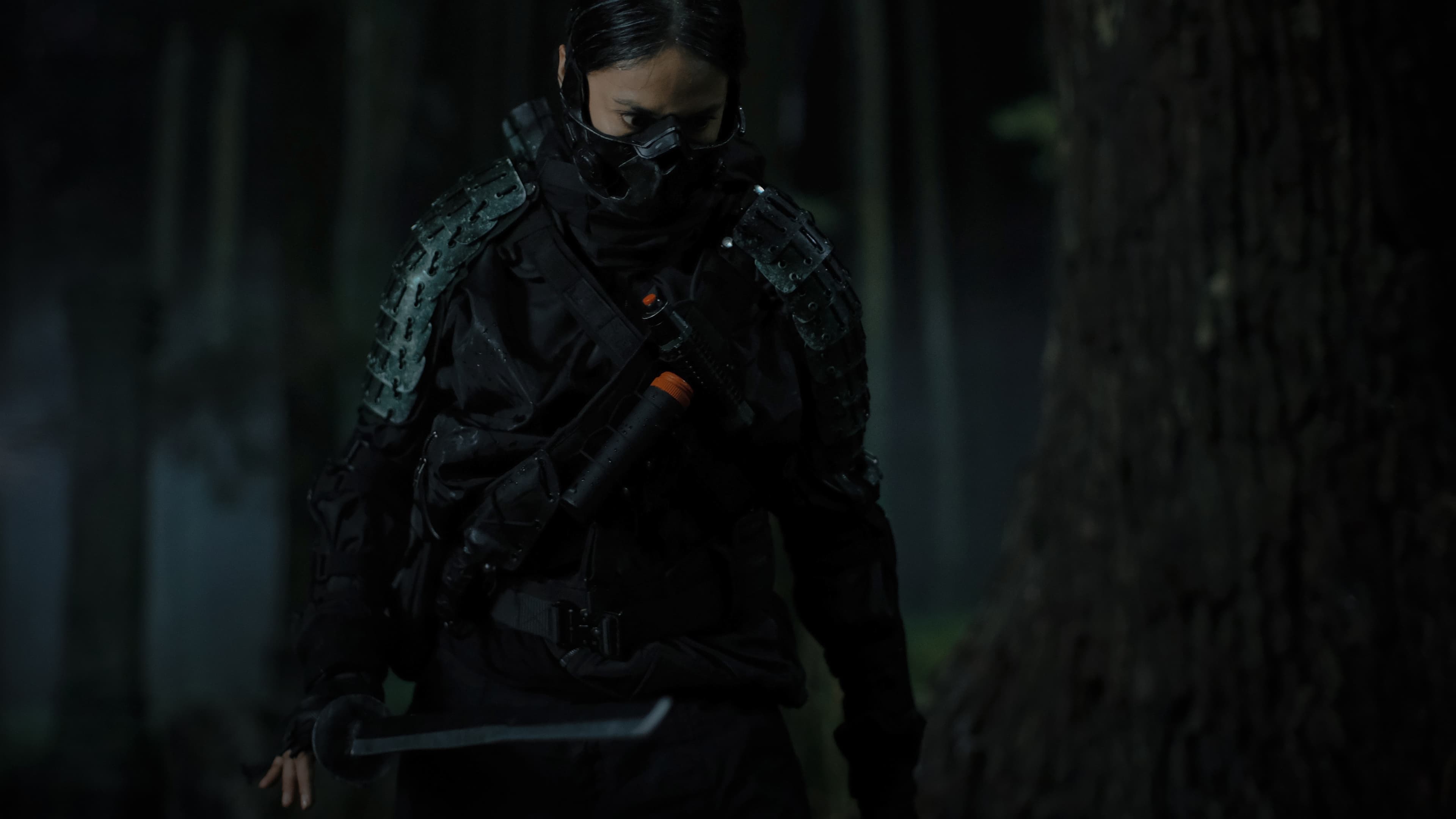 The Shadow Strays Background