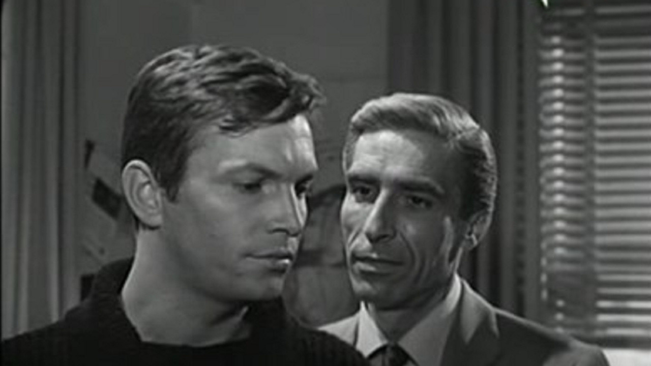 Call 22-22 Lieutenant Sheridan Background