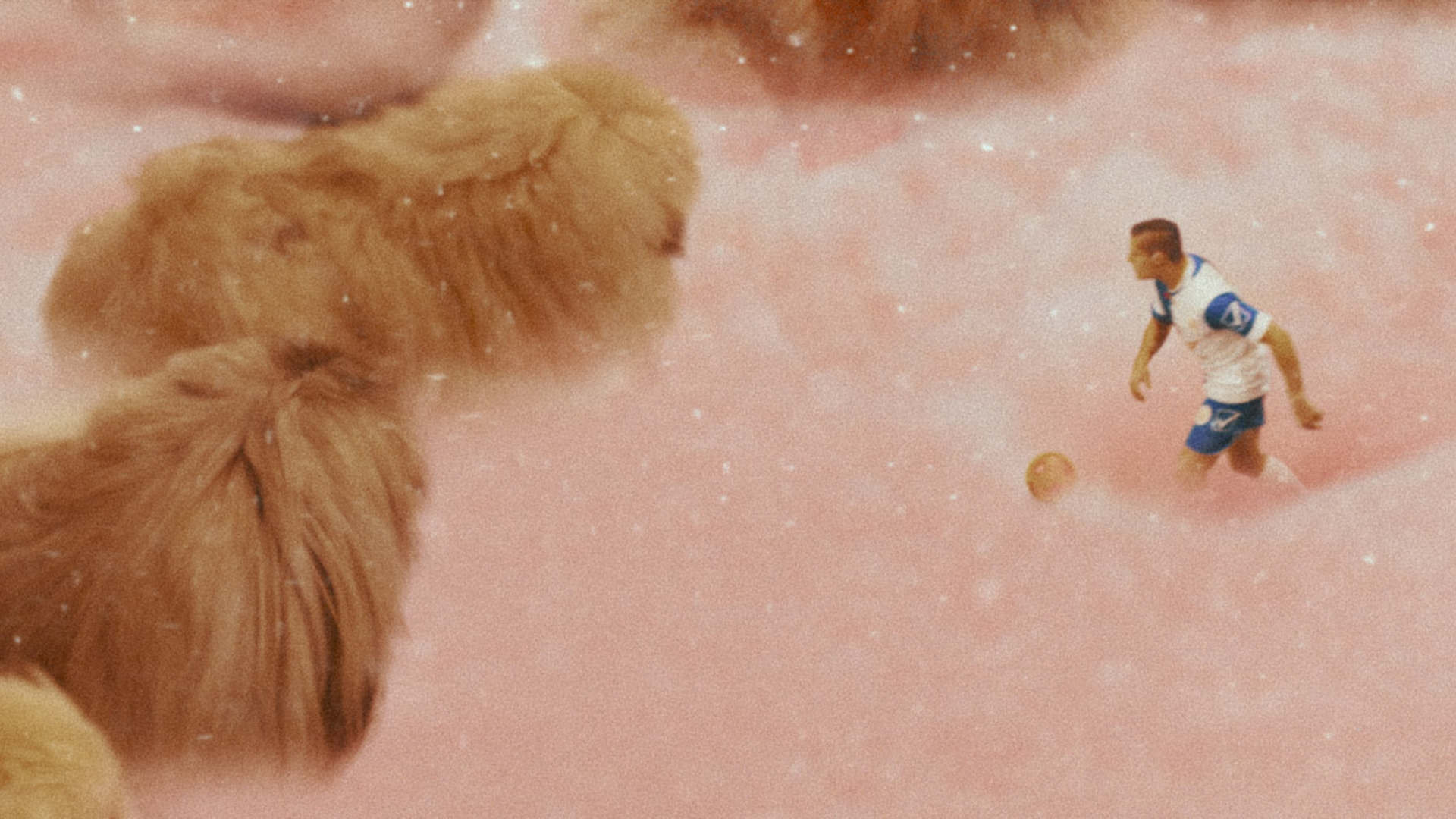 Diamantino Background