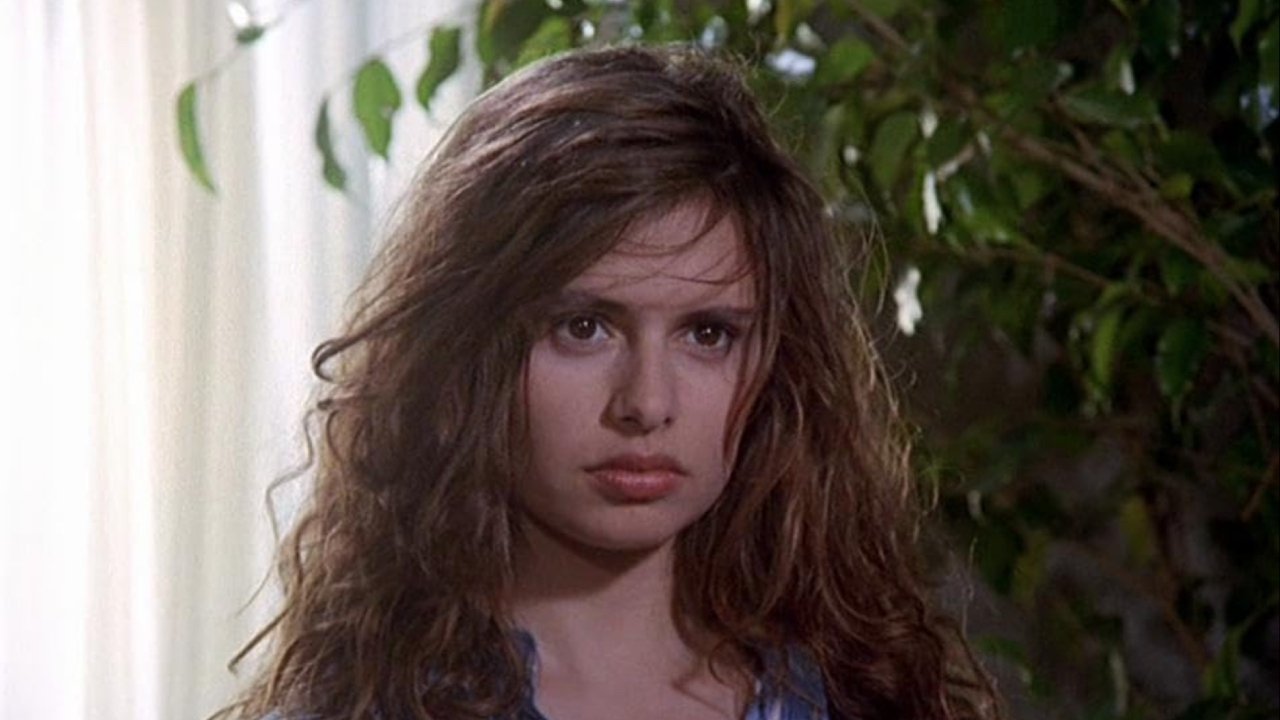 The Smile of the Fox Background