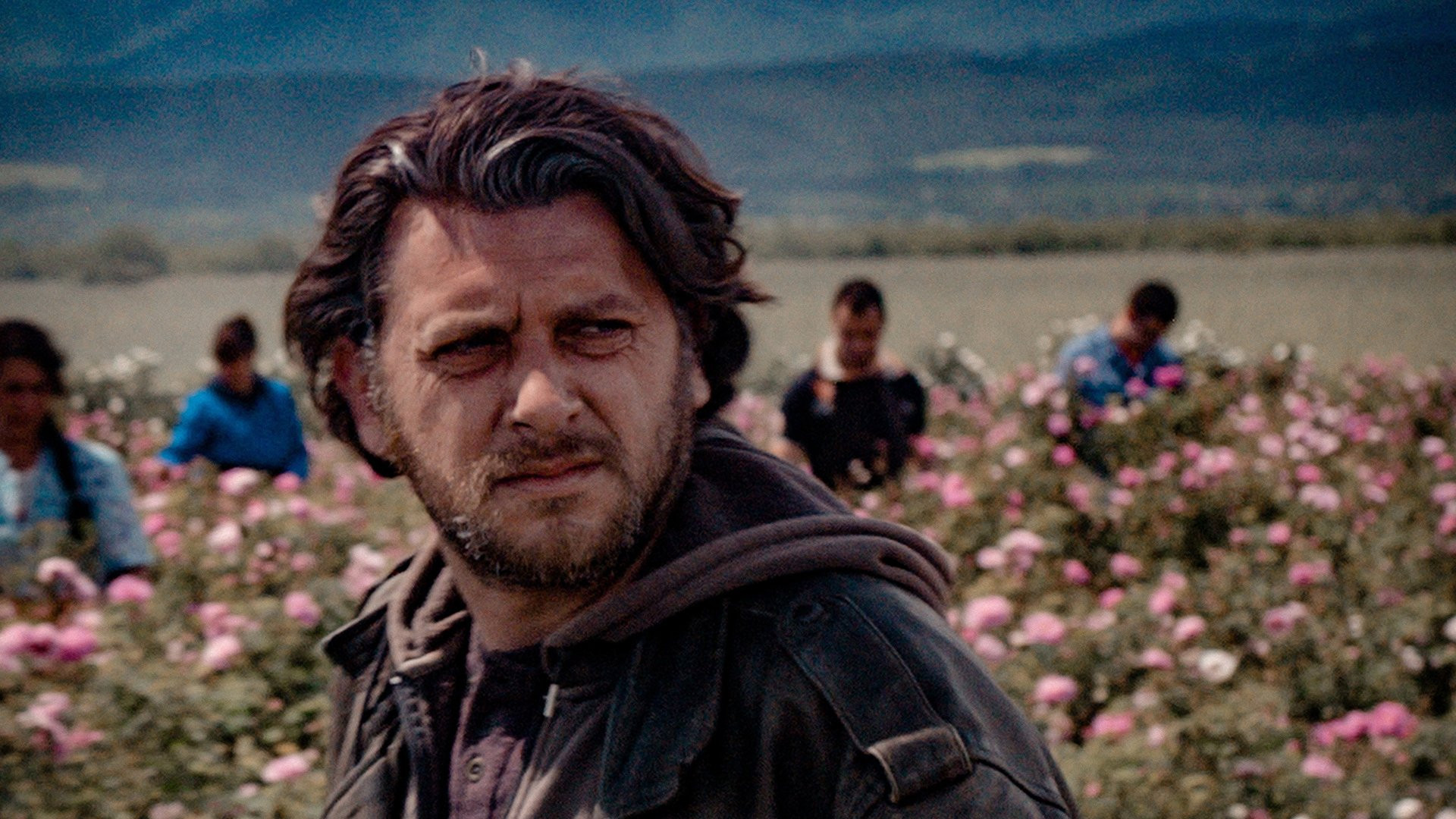 Damascena Background