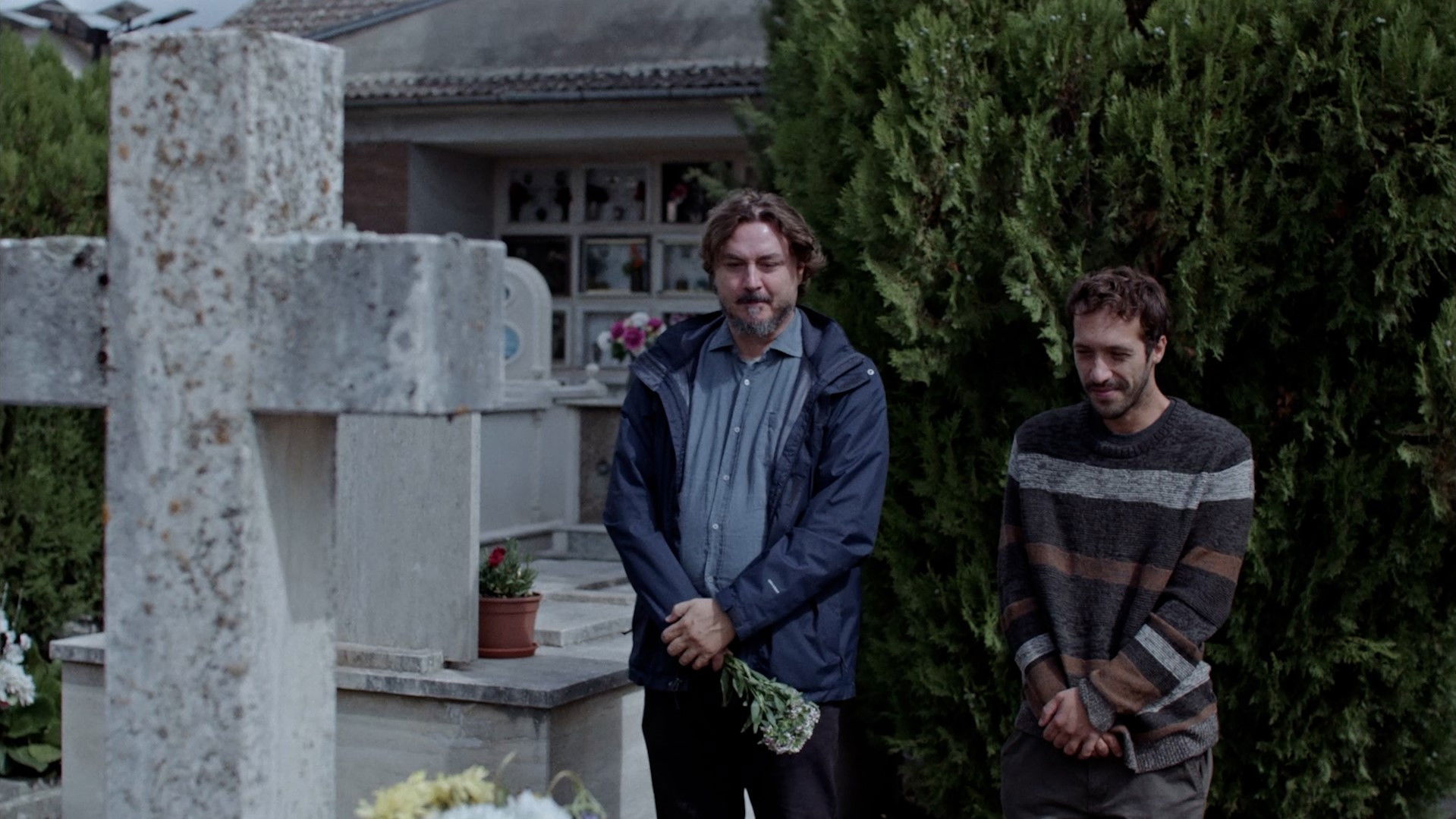 Among The Trees Background