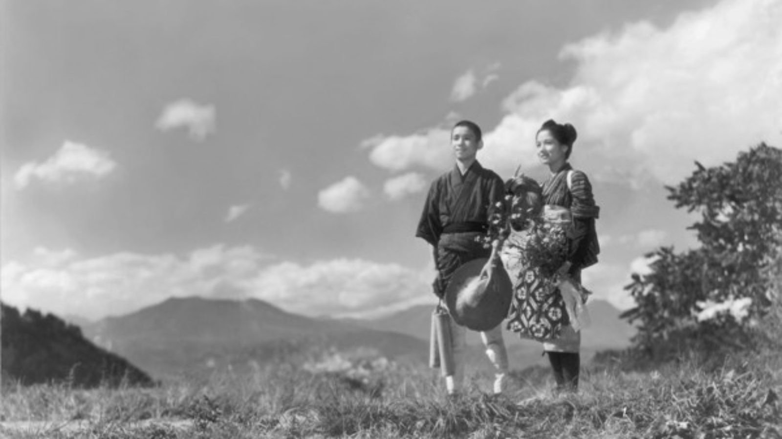 She Was Like a Wild Chrysanthemum Background