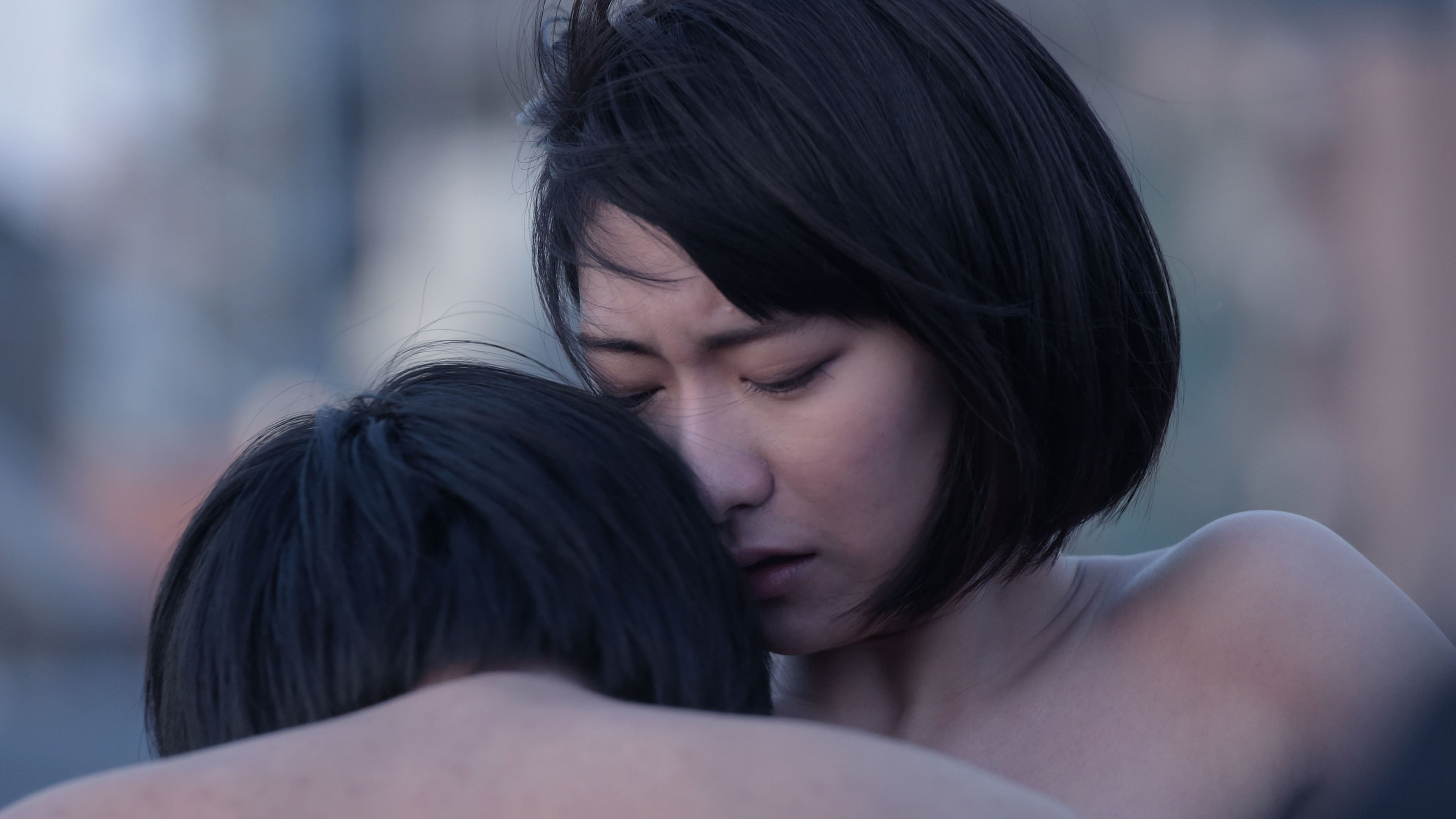 Dawn of the Felines Background