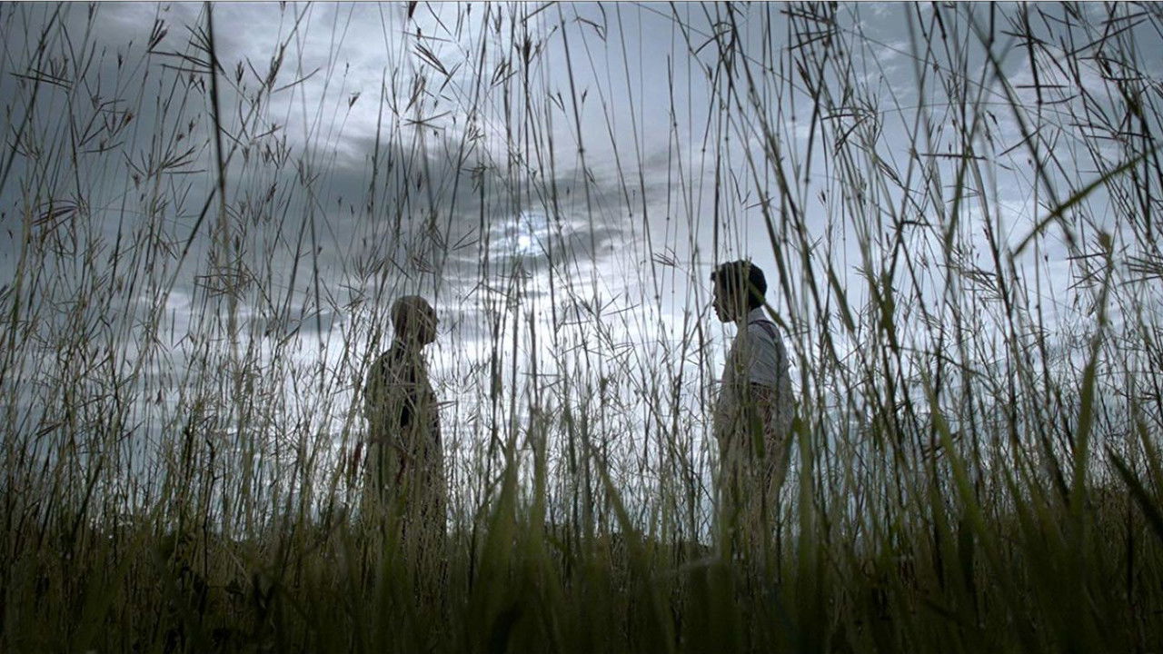 El vampiro del lago Background