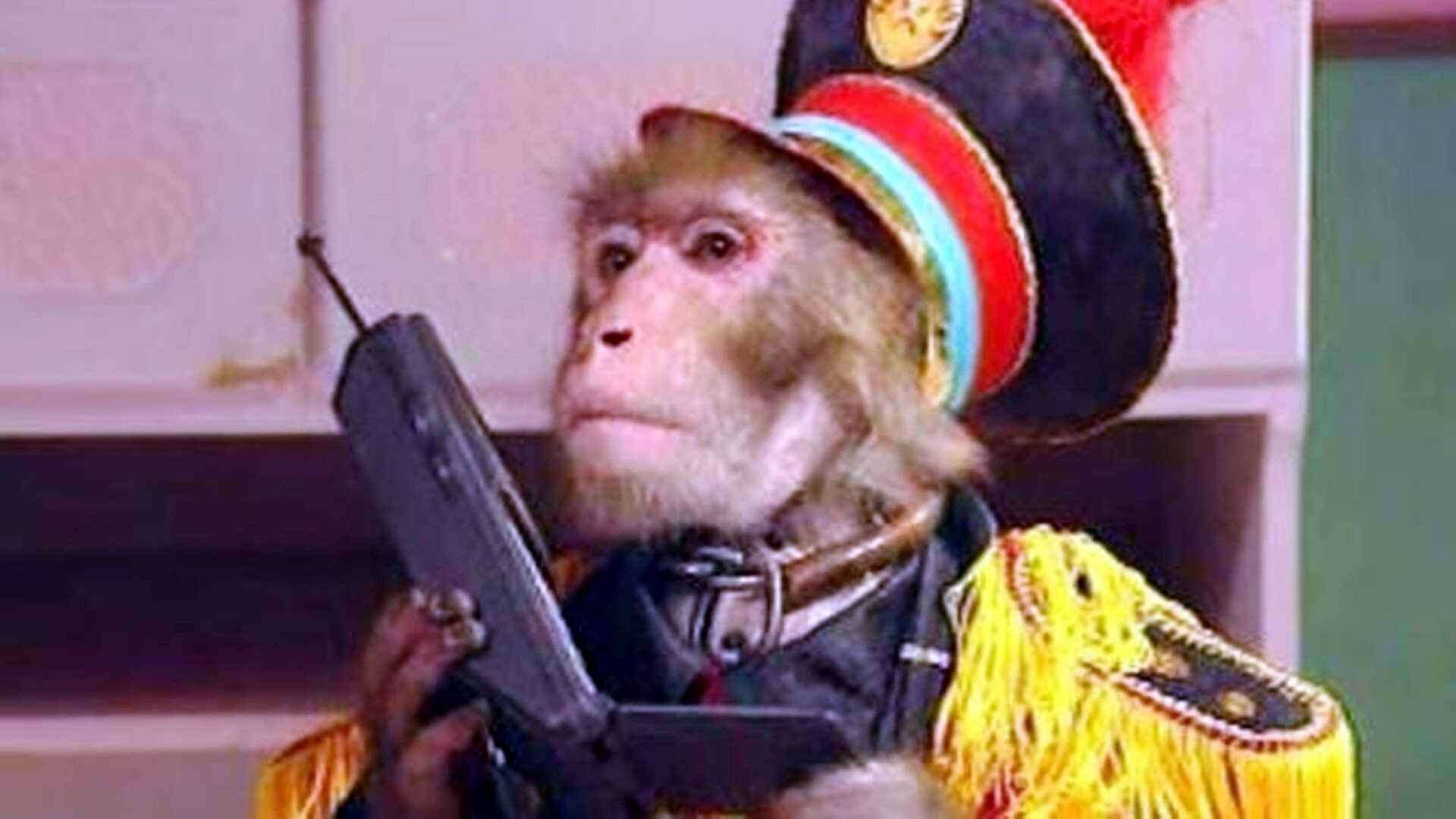 动物王国窃案 Background