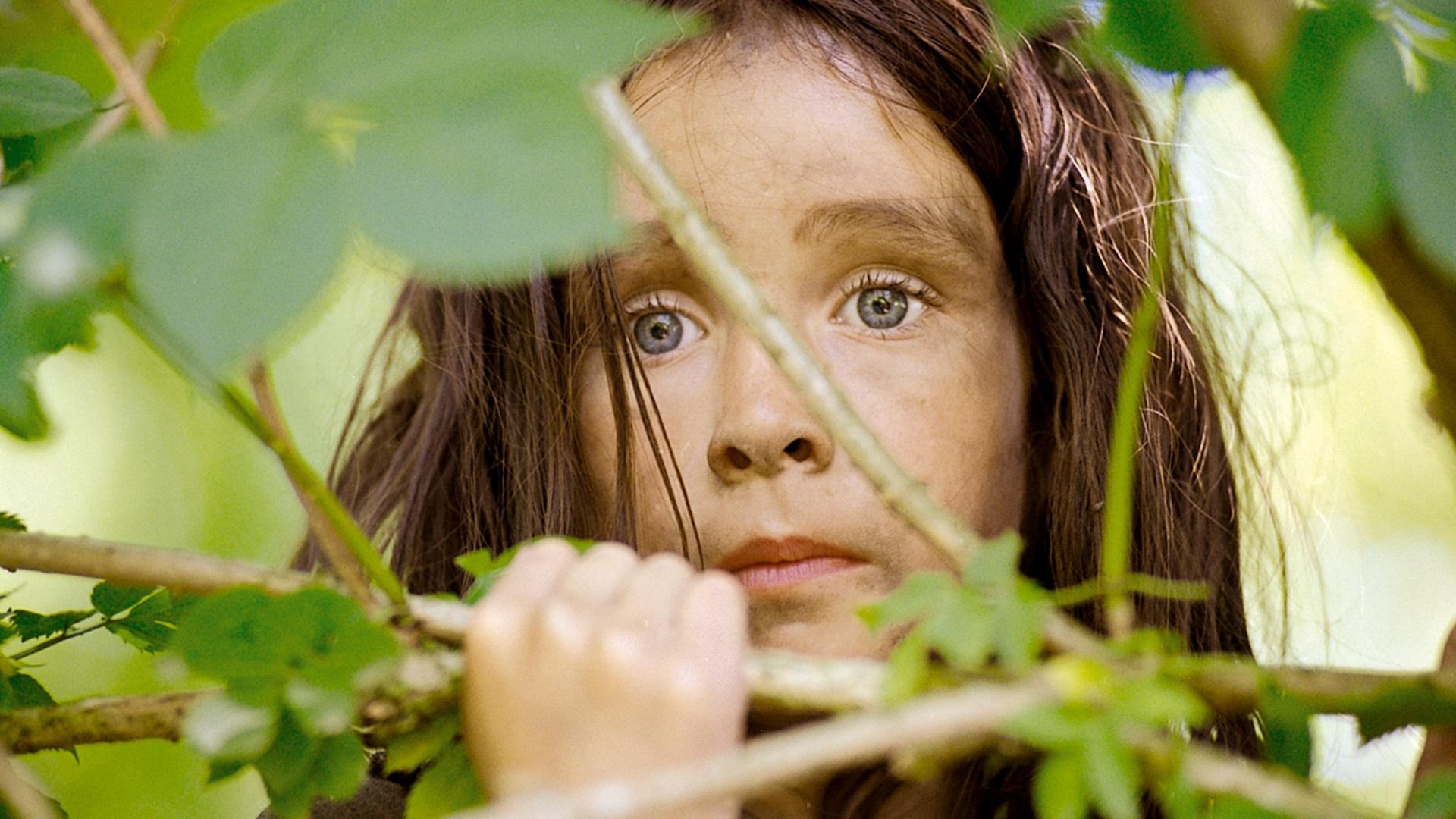 Tinke the Wolfgirl Background