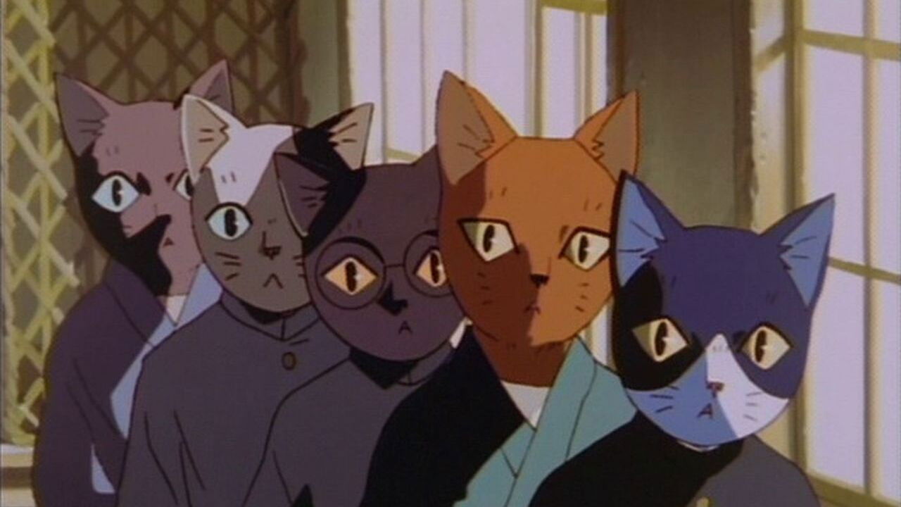 Spring and Chaos Background