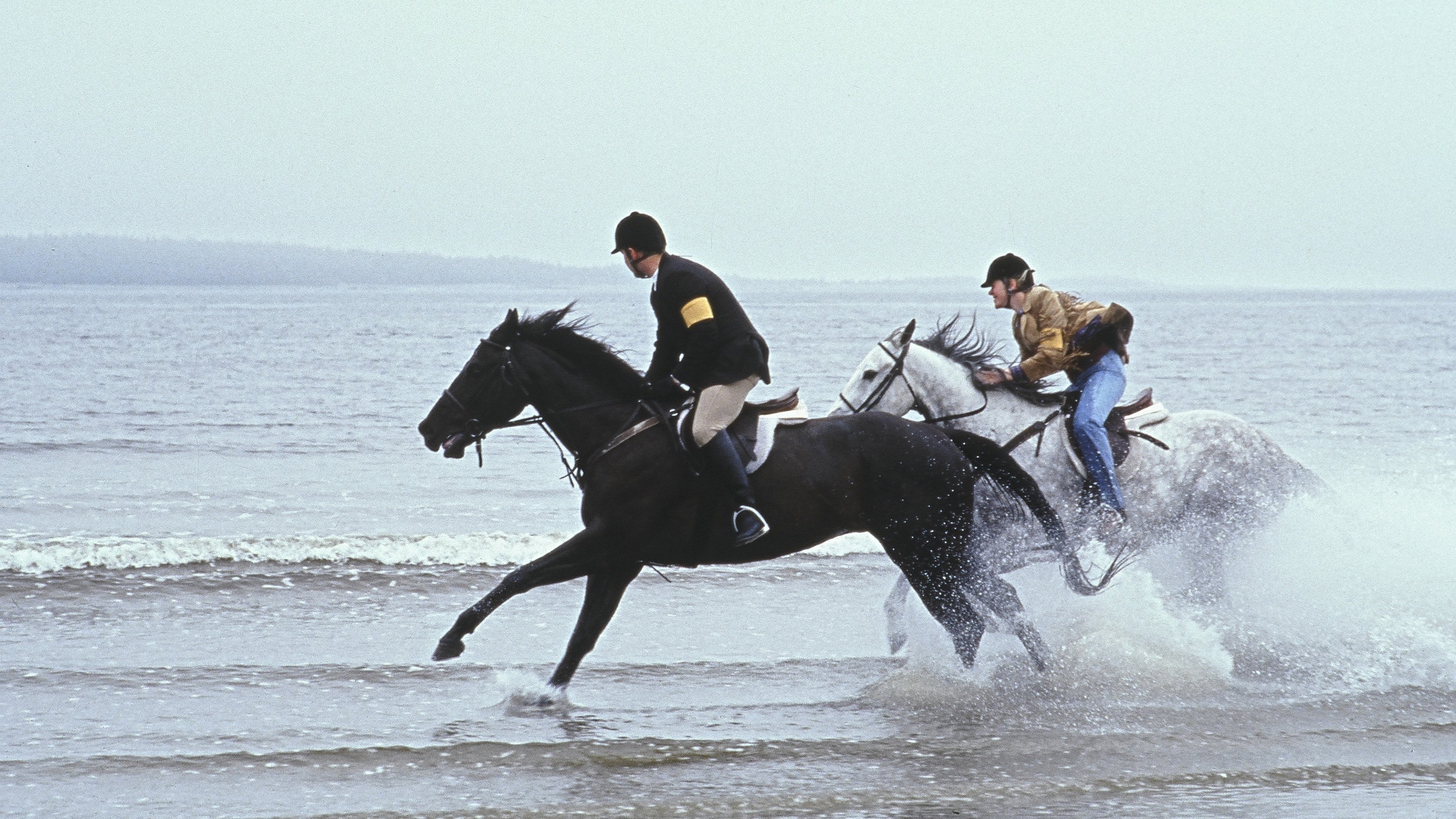 Virginia's Run Background