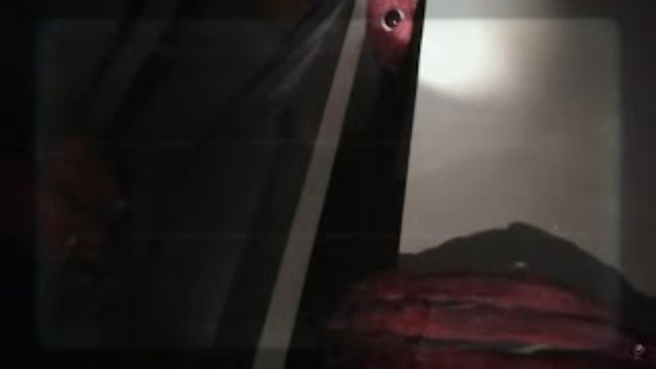 Vita Carnis Background